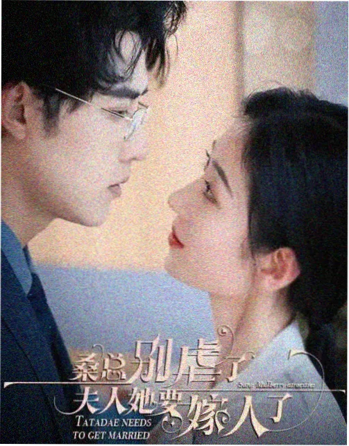 球球物语